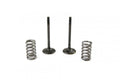 KIT EX VALVE+SPRING YZF450, PROX 28.SES2424-1 GAS-GAS, EXHAUST