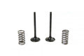KIT EX VALVE+SPRING YZF450, PROX 28.SES2440-1 EXHAUST