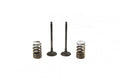 KIT EX VALVE+SPRING RM-Z250 2007-2025, PROX 28.SES3338-1 EXHAUST
