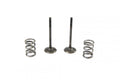 KIT EX VALVE+SPRING RM-Z450, PROX 28.SES3405-1 EXHAUST