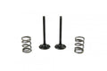KIT EX VALVE+SPRING LT-R450, PROX 28.SES3406-1 EXHAUST