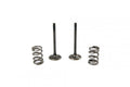 KIT EX VALVE+SPRING RM-Z450, PROX 28.SES3407-1 EXHAUST