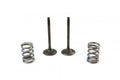 KIT EX VALVE+SPRING RM-Z450 2008-2025, PROX 28.SES3408-1 EXHAUST