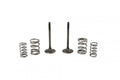 KIT EX VALVE+SPRING KX450F, PROX 28.SES4406-1 EXHAUST
