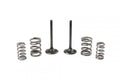 KIT EX VALVE+SPRING KX450F, PROX 28.SES4409-1 EXHAUST