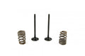 KIT EX VALVE+SPRING KTM250, PROX 28.SES6327-1 EXHAUST