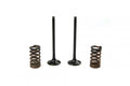 KIT EX VALVE+SPRING KTM250, PROX 28.SES6329-1 EXHAUST