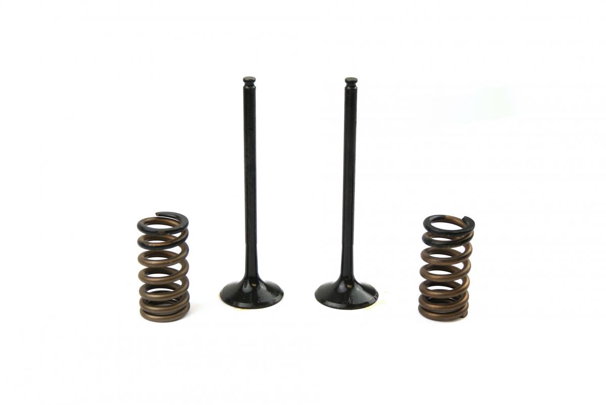 KIT EX VALVE+SPRING KTM250, PROX 28.SES6329-1 EXHAUST