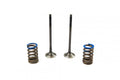 KIT EX VALVE+SPRING KTM250, PROX 28.SES6333-1 EXHAUST