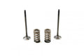 KIT EX VALVE+SPRING KTM250, PROX 28.SES6334-1 EXHAUST