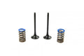 KIT EX VALVE+SPRING KTM350, PROX 28.SES6351-1 EXHAUST