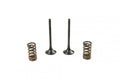 KIT EX VALVE+SPRING KTM350, PROX 28.SES6353-1 EXHAUST