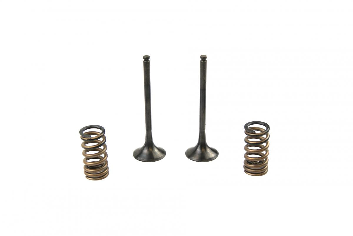 KIT EX VALVE+SPRING KTM350, PROX 28.SES6353-1 EXHAUST