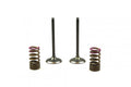 KIT IN VALVE+SPRING CRF250, PROX 28.SIS1336-2 INTAKE