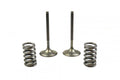 KIT IN VALVE+SPRING CRF450, PROX 28.SIS1403-2 INTAKE