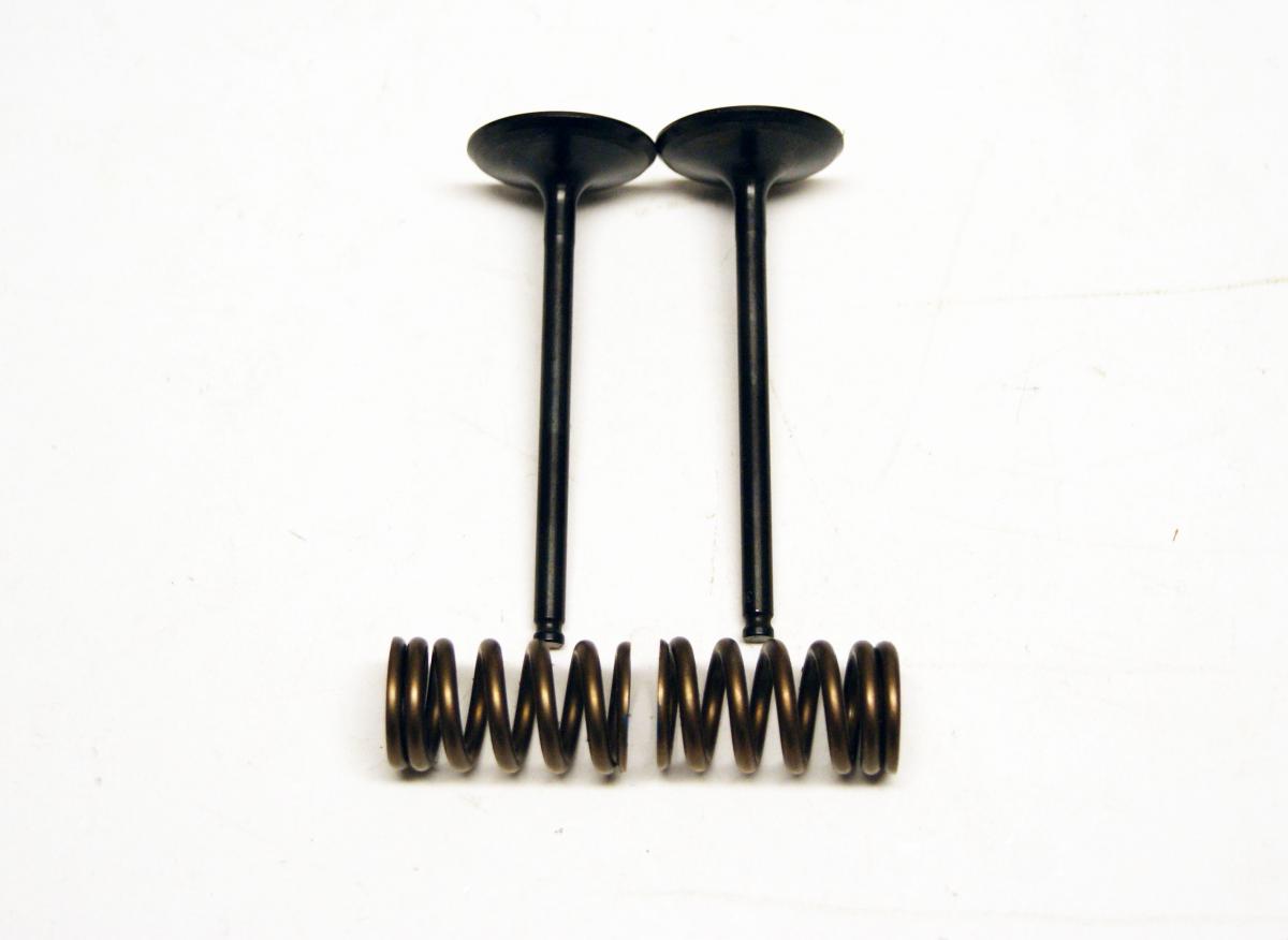 KIT IN VALVE+SPRING YZF250, PROX 28.SIS2414-2 INTAKE