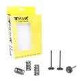 KIT IN VALVE+SPRING YZF450, PROX 28.SIS2424-2 INTAKE