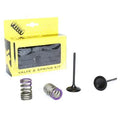 KIT IN VALVE+SPRING KXF250, PROX 28.SIS4338-2 INTAKE