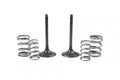 KIT IN VALVE+SPRING KXF450, PROX 28.SIS4409-2 INTAKE