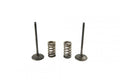 KIT IN VALVE+SPRING KTM250, PROX 28.SIS6334-2 INTAKE