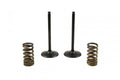 KIT IN VALVE+SPRING KTM350, PROX 28.SIS6353-2 INTAKE