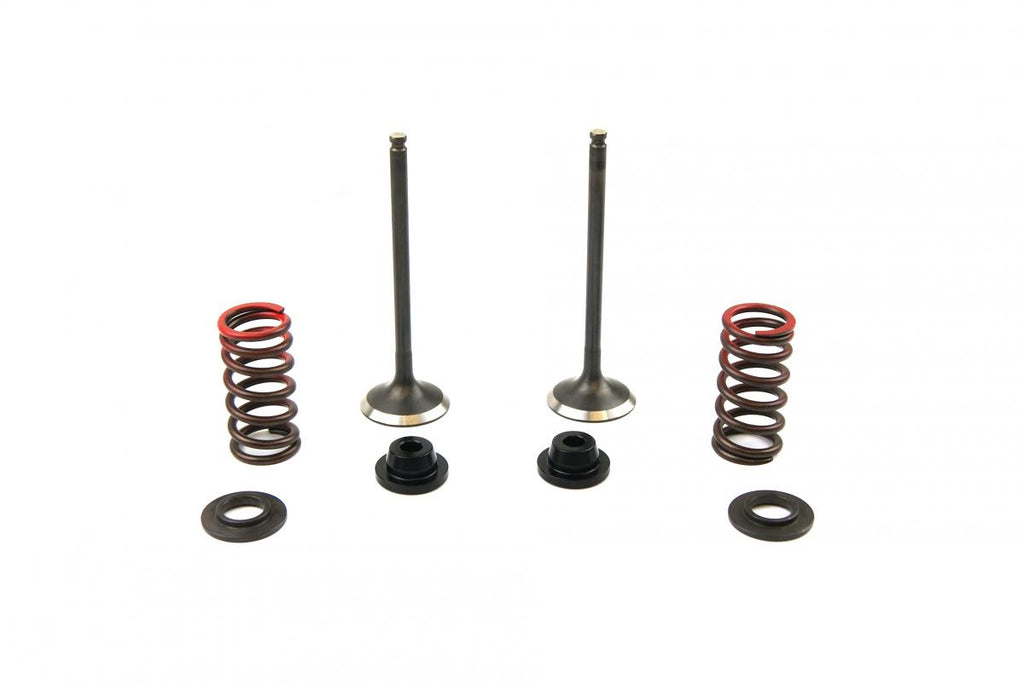 VALVE KIT EXHAUST YZF250 GASGA, PSYCHIC XU-09519EK