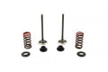 VALVE KIT EXHAUST YZF250 GASGA, PSYCHIC XU-09519EK