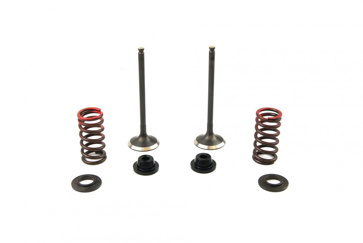 VALVE KIT EXHAUST YZF250 GASGA, PSYCHIC XU-09519EK