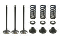 VALVE KIT INTAKE YZF250 GASGAS, PSYCHIC XU-09519IK