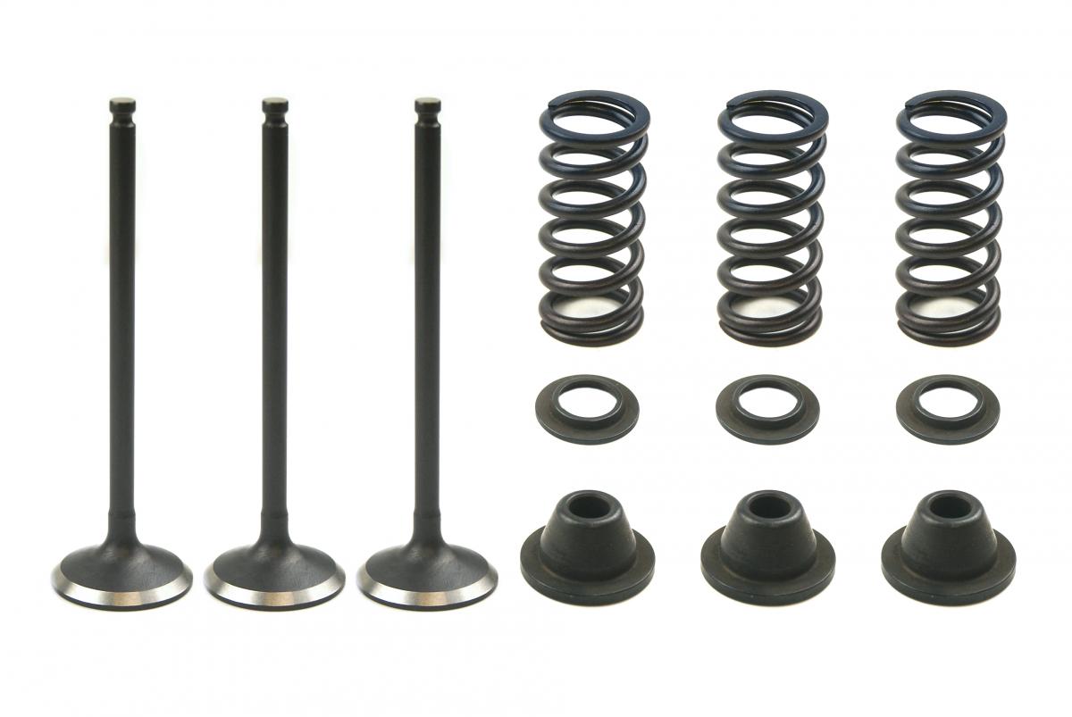 VALVE KIT INTAKE YZF250 GASGAS, PSYCHIC XU-09519IK