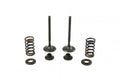 VALVE KIT EXHAUST YZF450 GASGA, PSYCHIC XU-09524EK