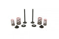 VALVE KIT EXHAUST CRF110F, PSYCHIC XU-09558EK