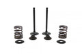 VALVE KIT INTAKE CRF110F, PSYCHIC XU-09558IK