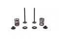 VALVE KIT EXHAUST CRF125F/FB, PSYCHIC XU-09558-1EK