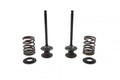VALVE KIT INTAKE CRF125F/FB, PSYCHIC XU-09558-1IK