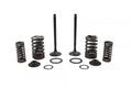 VALVE KIT EXHAUST CRF150F 230, PSYCHIC XU-09543EK