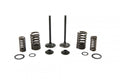VALVE KIT EXHAUST CRF150F 230, PSYCHIC XU-09543IK