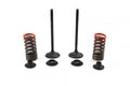 VALVE KIT EXHAUST CRF250, PSYCHIC XU-09526EK