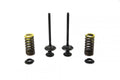 VALVE KIT EXHAUST CRF250, PSYCHIC XU-09502EK, CRF250R 2004-2007, CRF250X 2004-2016