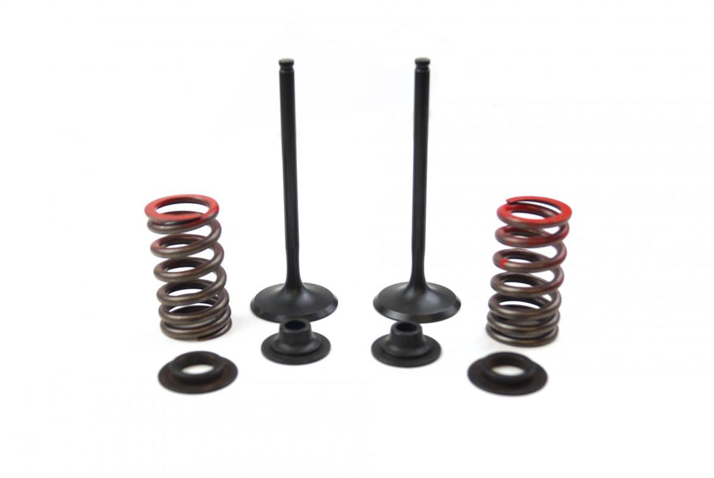 VALVE KIT EXHAUST CRF450R, PSYCHIC XU-09534EK 07-08