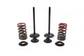 VALVE KIT EXHAUST CRF450R, PSYCHIC XU-09534EK 07-08