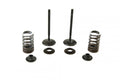 VALVE KIT EXHAUST CRF450R, PSYCHIC XU-09546EK 13-20