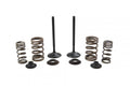 VALVE KIT EXHAUST CRF450X, PSYCHIC XU-09503EK 05-17
