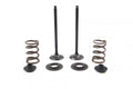 VALVE KIT EXHAUST KTM HUSABERG, PSYCHIC XU-09551EK