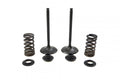 VALVE KIT INTAKE KTM HUSABERG, PSYCHIC XU-09555IK HUSQVARNA