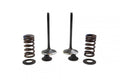 VALVE KIT INTAKE KXF/RMZ250, PSYCHIC XU-09509IK 04-06