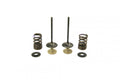 VALVE KIT INTAKE KX250F, PSYCHIC XU-09552IK 07-08