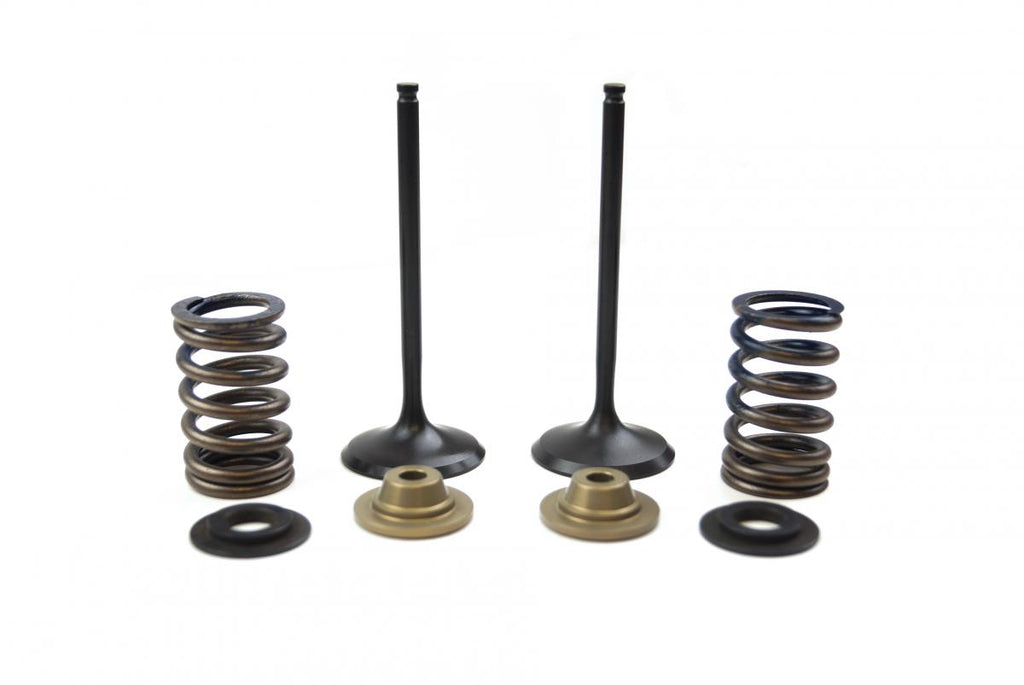 VALVE KIT INTAKE KX250F, PSYCHIC XU-09515IK 09-10