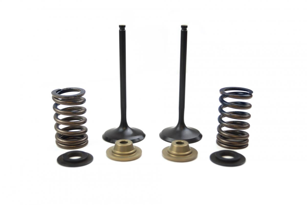 VALVE KIT INTAKE KX250F, PSYCHIC XU-09515IK 09-10