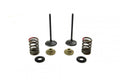 VALVE KIT INTAKE KX250F, PSYCHIC XU-09539IK 11-16